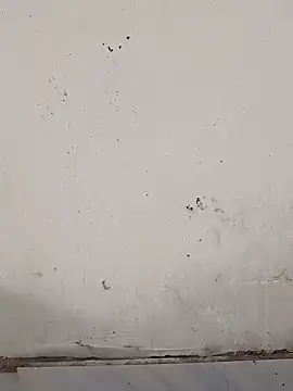 Snapshot of monubigcoock chatting on November 17, 2025, 9:57 am monubigcoock online show from November 17, 2025, 9:57 am