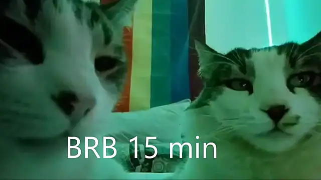 JettaHerrin online show from September 24, 2025, 10:11 am