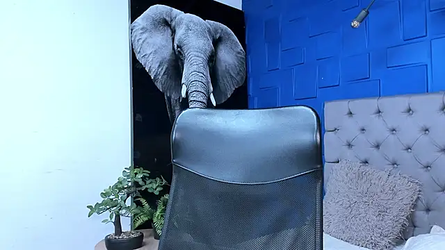 andres-clark92 online show from October 27, 2025, 6:31 pm