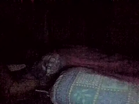 Snapshot of harish_x chatting on February 18, 2026, 6:26 pm harish x online show from February 18, 2026, 6:26 pm