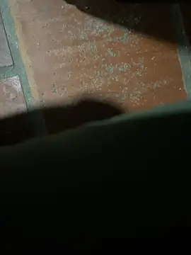 Snoopdop online show from February 1, 2026, 11:58 pm