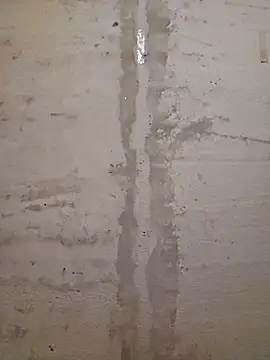 Alex-andru88 online show from October 11, 2025, 8:10 pm