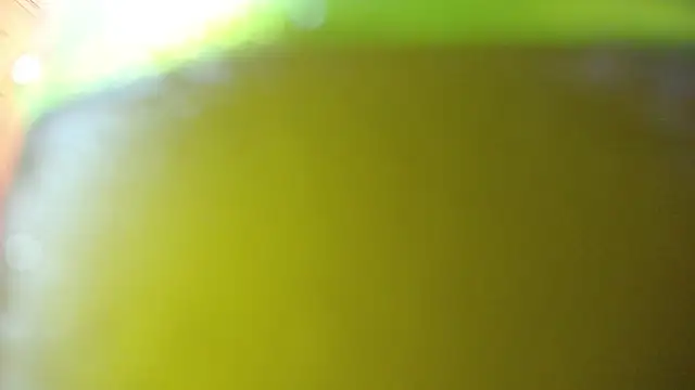 bloom bbc online show from October 24, 2025, 1:10 pm