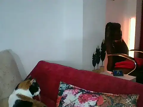 a miss online show from September 18, 2025, 5:38 pm