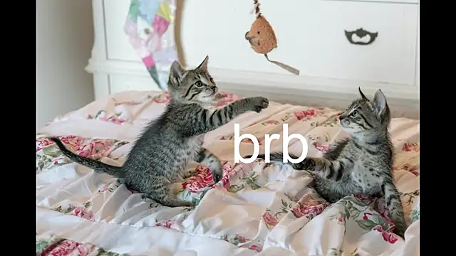 Pink girl0n online show from September 25, 2025, 12:22 pm