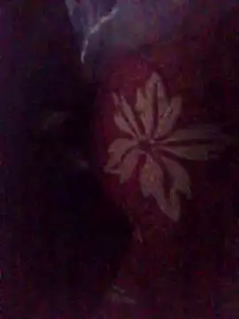 Amin Dz-20 online show from January 7, 2026, 11:32 pm