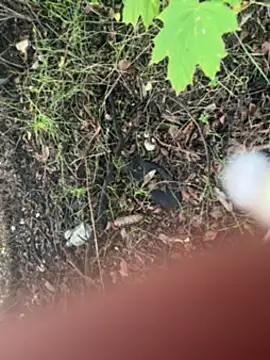 Sosisonchik online show from October 7, 2025, 3:35 pm