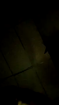 Bosssweet22cm online show from March 18, 2026, 12:14 am