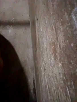 Snapshot of Lujor chatting on March 13, 2026, 11:43 pm Lujor online show from March 13, 2026, 11:43 pm