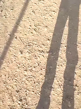 sonotutto online show from October 8, 2025, 7:54 am