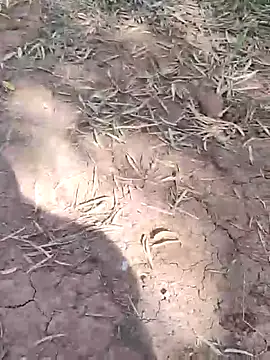 sonotutto online show from October 13, 2025, 10:28 am