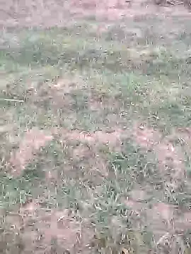 sonotutto online show from October 12, 2025, 5:58 pm