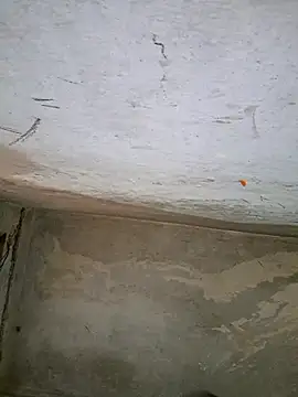 Sgaf39 online show from September 27, 2025, 10:43 am