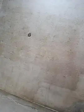 Sgaf39 online show from September 14, 2025, 11:43 am