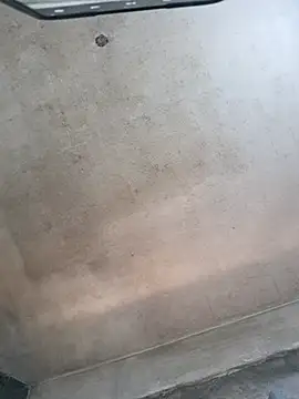 Sgaf39 online show from October 26, 2025, 5:24 pm