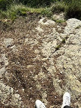 Manu97k online show from September 9, 2025, 3:43 pm