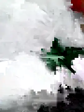 zezooha online show from February 17, 2026, 1:36 am