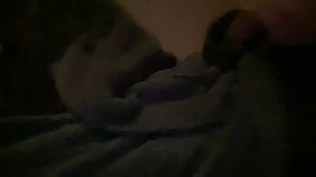 Snapshot of peterpapiNL chatting on March 31, 2026, 7:16 pm peterpapiNL online show from March 31, 2026, 7:16 pm