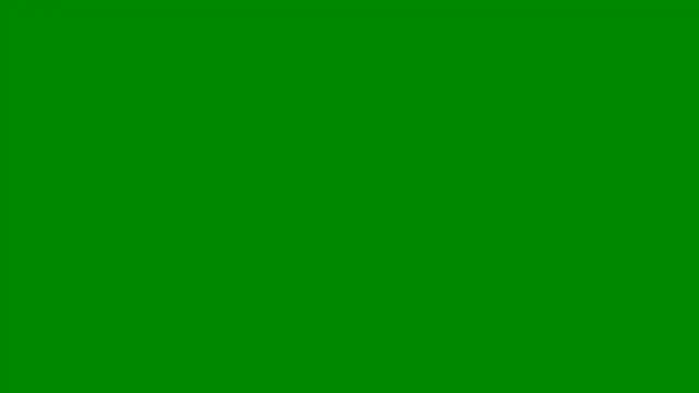 PigDadDog online show from February 6, 2026, 1:56 am