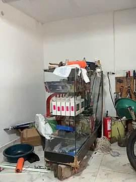 Terra-22cm online show from February 13, 2026, 1:22 pm