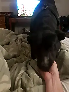 Snapshot of dandonn chatting on February 27, 2025, 1:08 am dandonn online show from February 27, 2025, 1:08 am