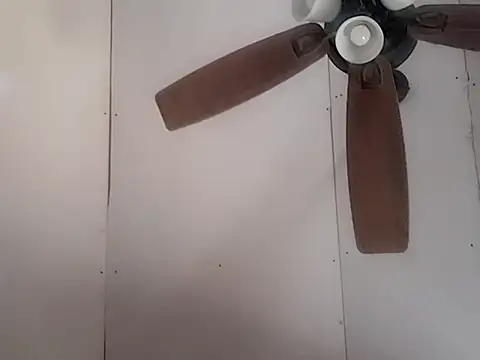 Snapshot of dandonn chatting on March 2, 2025, 10:13 pm dandonn online show from March 2, 2025, 10:13 pm