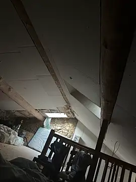 carapace31 online show from February 26, 2026, 3:56 pm