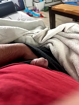 carapace31 online show from November 23, 2025, 9:52 am