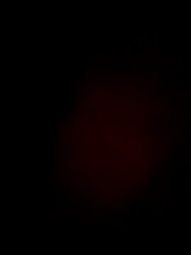 Daisygirl9 online show from February 21, 2026, 6:10 pm