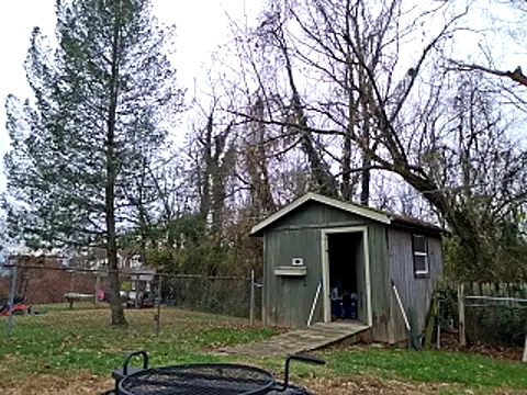 Snapshot of sloppytopkins chatting on November 21, 2025, 3:33 pm sloppytopkins online show from November 21, 2025, 3:33 pm