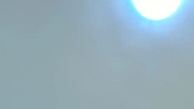 Dixie grey1 online show from October 15, 2025, 2:47 pm