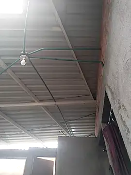 Tussi-amor online show from February 15, 2026, 7:02 pm