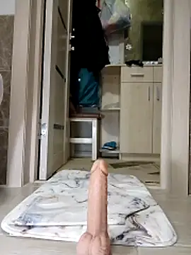 N i k o l a u online show from April 4, 2026, 5:41 pm