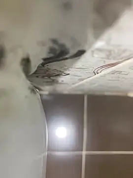 Snapshot of BatchedTracer chatting on May 8, 2026, 12:03 am BatchedTracer online show from May 8, 2026, 12:03 am