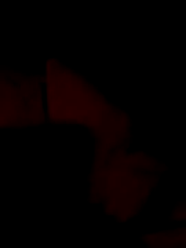 Snapshot of Bulbasaurisme chatting on June 21, 2026, 5:24 am Bulbasaurisme online show from June 21, 2026, 5:24 am
