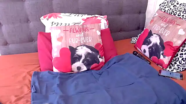 chockclitx5 online show from February 16, 2026, 10:36 am