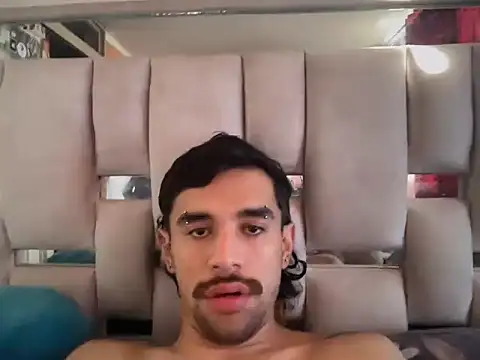Snapshot of playfulboys_ chatting on July 11, 2026, 9:15 pm playfulboys online show from July 11, 2026, 9:15 pm