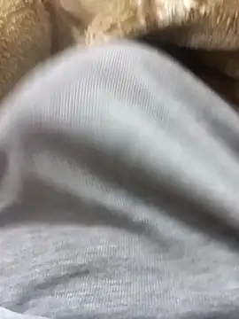 Abodi12aa77 online show from March 3, 2026, 12:06 am