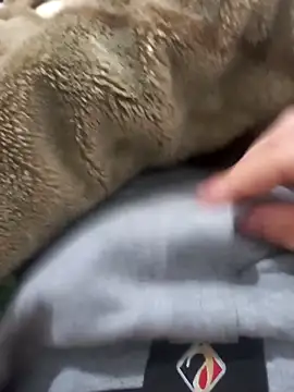 Abodi12aa77 online show from March 12, 2026, 1:00 am