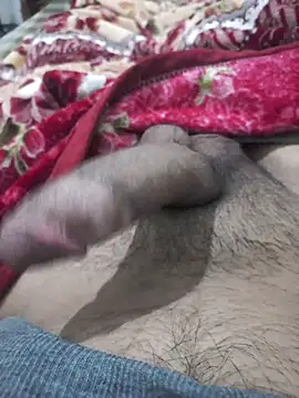 Abodi12aa77 online show from September 29, 2025, 1:56 am