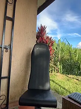 Marco Vega online show from November 22, 2025, 9:13 pm