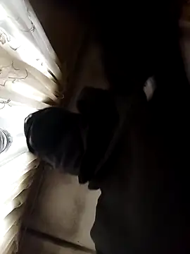 BlessingShikisha online show from March 20, 2026, 4:24 am