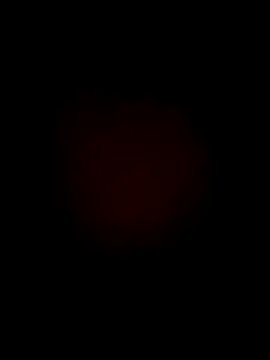 lebonfeu online show from September 26, 2025, 8:32 am