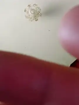 Snapshot of bullut06 chatting on February 10, 2026, 10:25 am bullut06 online show from February 10, 2026, 10:25 am