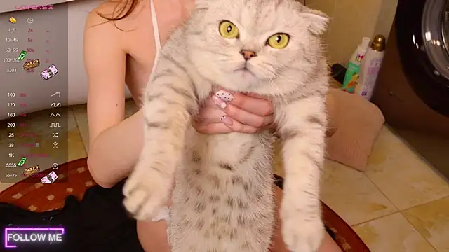 Angell Wild online show from November 24, 2025, 3:01 pm