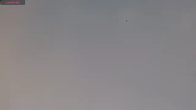 tinisweet online show from September 19, 2025, 11:14 am