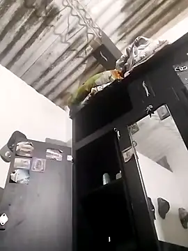 amelie sex online show from March 5, 2026, 4:14 pm