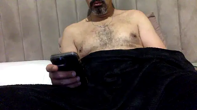 Snapshot of CaiBull chatting on June 11, 2026, 2:44 am CaiBull online show from June 11, 2026, 2:44 am