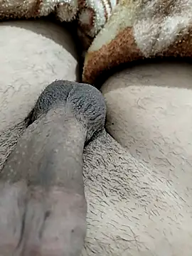 Zepe 12 online show from February 13, 2026, 11:38 pm