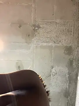 Snapshot of prettydollyy chatting on March 31, 2026, 9:17 pm prettydollyy online show from March 31, 2026, 9:17 pm